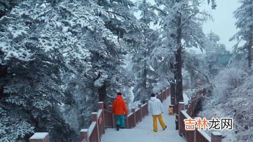 西岭雪山什么时候有雪,成都西岭雪山11月份有雪吗