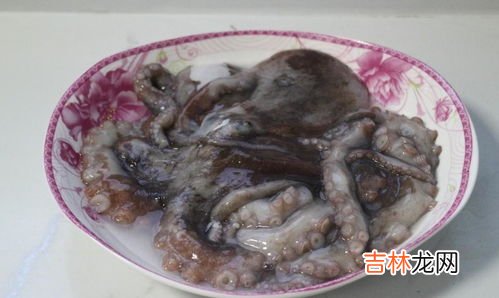 八爪鱼怎么清洗,八爪鱼很难清洗,八爪鱼的清洗方法是什么?