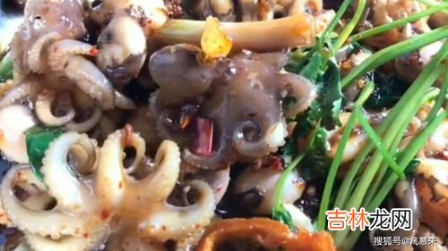 八爪鱼怎么清洗,八爪鱼很难清洗,八爪鱼的清洗方法是什么?