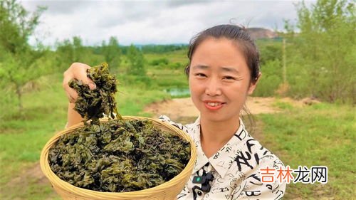 地皮菜可以种植吗,有谁知道地皮菜怎么种植的?求教