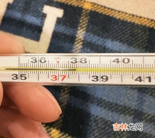 240是38还是39,男鞋240是多大码,240的鞋码是多大啊