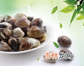 河蚌吃什么,河蚌吃什么