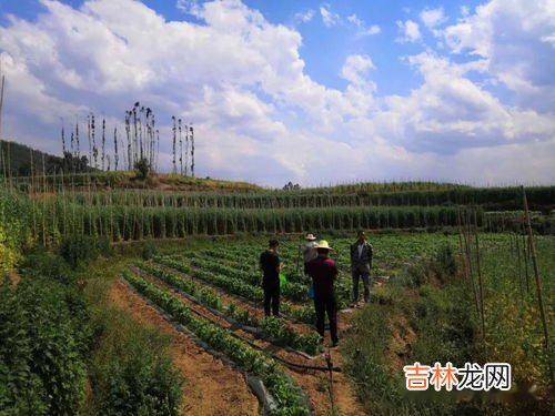一类土二类土三类土区别,什么是一类土、二类土。三类四类土？