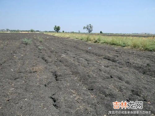 一类土二类土三类土区别,什么是一类土、二类土。三类四类土？