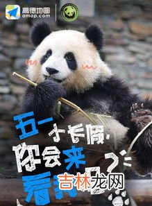 熊猫基地考虑建黑名单制度,旅游黑名单制度是什么