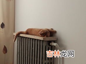 开暖气太干上火怎么办,开暖气屋里太干燥怎么办 开暖气太干燥解决办法
