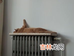 开暖气太干上火怎么办,开暖气屋里太干燥怎么办 开暖气太干燥解决办法