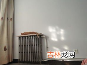 开暖气太干上火怎么办,开暖气屋里太干燥怎么办 开暖气太干燥解决办法
