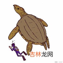 古巨龟是什么,古巨龟是什么时候灭绝的?