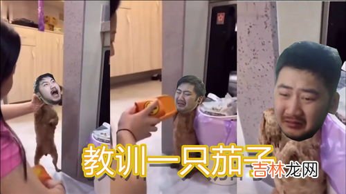纯属娱乐是什么意思,玩抖音纯属娱乐,只是为了取悦自己 无聊时打发时间……&#8230;是什么意思