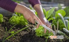 淘米次数为什么不要太多太久,天天吃米饭，淘多少次水的米才是最好的，你知道吗？