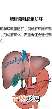 肥胖治疗这方面,肥胖症饮食治疗的原则有哪些？