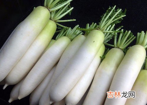 萝卜籽的功效与作用吃法,白萝卜籽有什么作用与功效