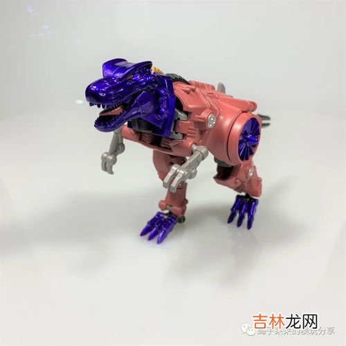 霸王龙的外形特点20字,霸王龙的外形有什么特点