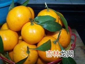 橘子和桔子有什么区别,桔子和橘子的区别是什么