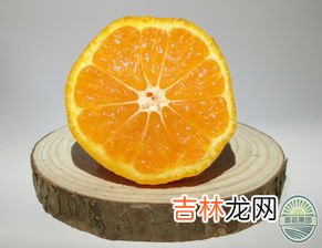 橘子和桔子有什么区别,桔子和橘子的区别是什么