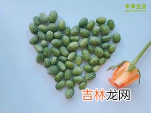 西瓜和黄瓜能一起吃吗,黄瓜汁和西瓜汁可以打成一起喝吗?