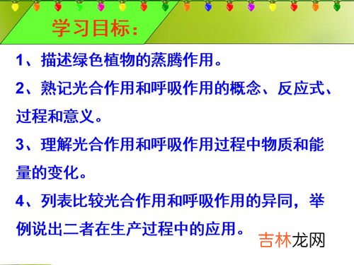 合作的价值与意义,合作的意义是什么?