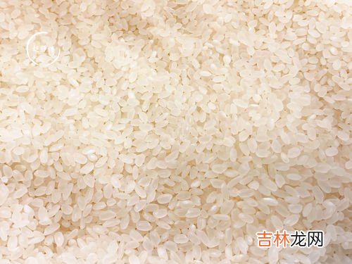 夏天怎么保存大米不生虫子,大米夏天怎样保存不生虫