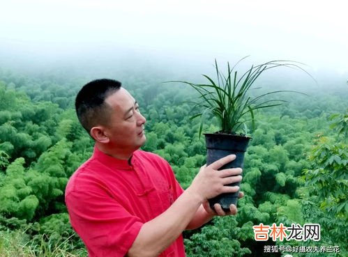 怎样防止油烟味,厨房油烟味重如何解决