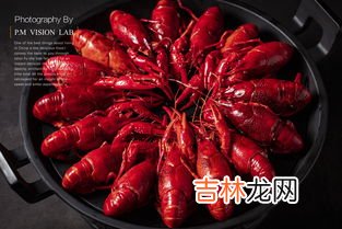 龙虾怎么保存才新鲜冰箱里,新鲜龙虾怎么保存冷冻