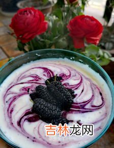 桑葚怎样熬成桑葚酱,桑葚酱最正宗的做法