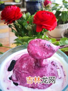 桑葚怎样熬成桑葚酱,桑葚酱最正宗的做法