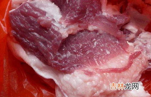 猪肉不能和什么一起吃,肉不能和什么食物一起吃