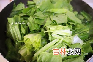 油麦菜是凉性还是热性,哪些蔬菜是热性