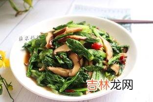 油麦菜是凉性还是热性,哪些蔬菜是热性