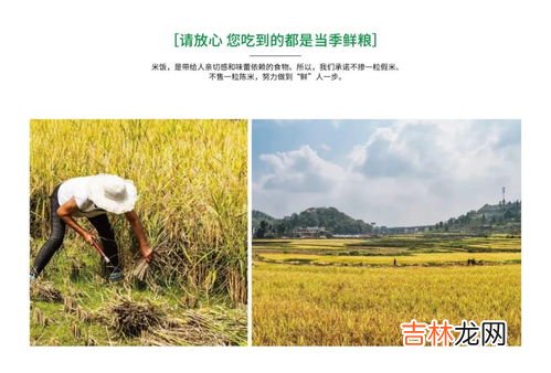 稻谷怎样长期保存,谷子粮食储存方法 粮食的储存方法介绍