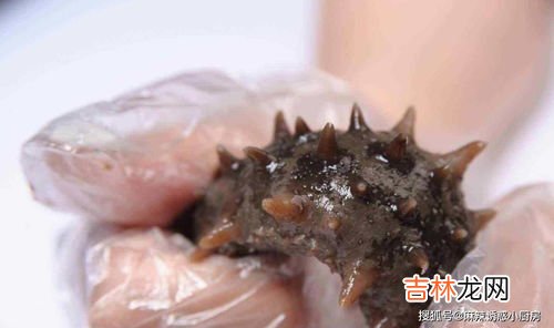 河豚鱼干怎样鉴别有没有毒,河豚干有毒吗