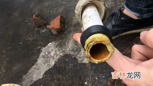 自来水感染食脑虫的几率有多大,中国的自来水里面有没有食脑虫?
