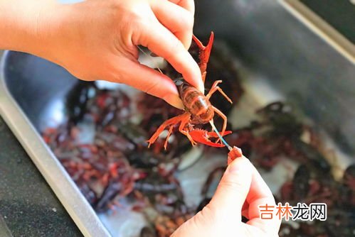 小龙虾里的寄生虫高温能杀死吗,用高温也杀不死小龙虾里的某些寄生虫吗？