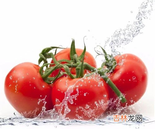 带鱼能和西红柿一起吃吗,带鱼不能和什么水果一起吃