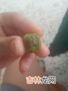 猕猴桃和芒果能一起吃吗,孕妇可以吃芒果跟猕猴桃吗