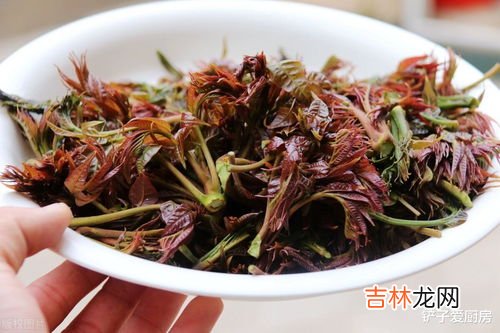 香椿焯水后要过冷水吗,香椿焯水是冷水下锅还是热水下锅