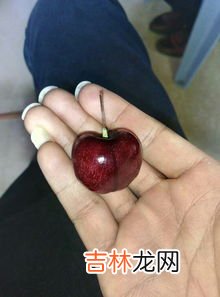 樱桃上有个小疙瘩还能吃吗,樱桃长毛了边上看起来好的还能吃吗