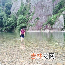 仙居东魁在哪里,东魁杨梅是哪里产的