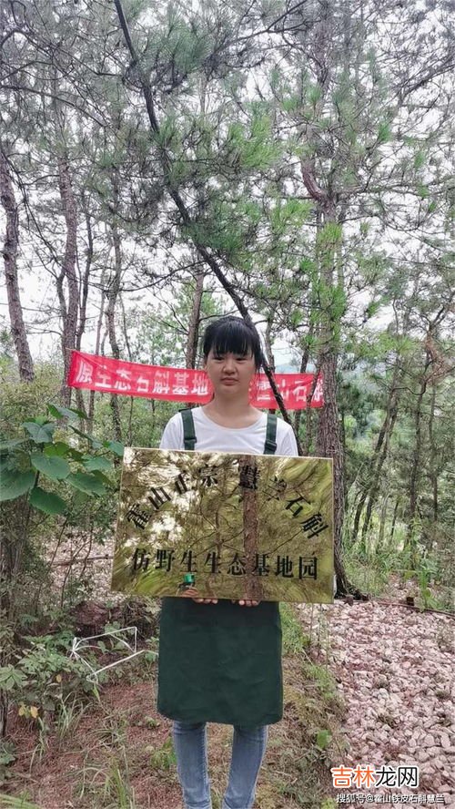 石斛花旗参炖鸡汤功效,花旗参石斛鸡汤功效