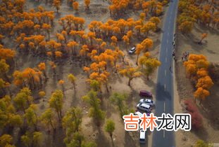 新疆巴音郭楞在什么地方,巴音郭楞属于哪个地方?