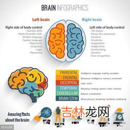 开发左脑的日常方法有哪些,如何开发左脑?