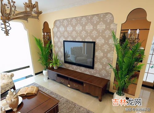 绿宝树适合放客厅吗,绿宝树适合放客厅吗