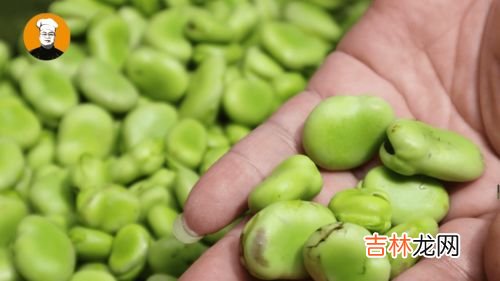 蚕豆可以冷冻保存吗,蚕豆如何长期保存
