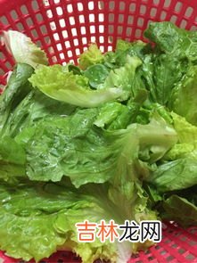 生菜和鸡蛋可以一起吃吗,生菜可以和什么一起炒着吃