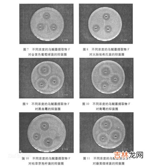 墨鱼的墨汁能吃吗,墨鱼的墨汁是可以吃的吗？