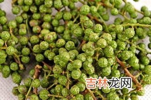 麻椒和花椒的区别,麻椒和花椒的区别有哪些呢