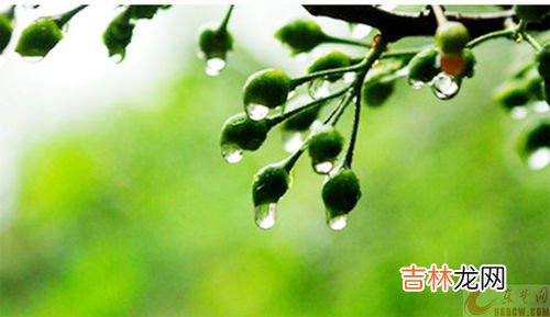 梅雨季节衣服不干发臭怎么办,衣服没干透,发臭了怎么办