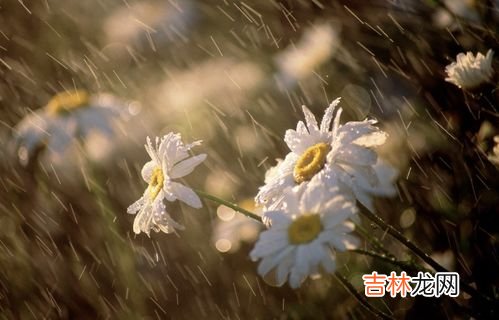 梅雨季节衣服不干发臭怎么办,衣服没干透,发臭了怎么办