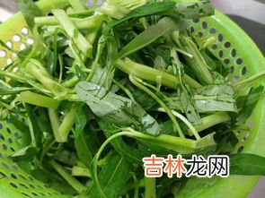 苋菜和空心菜能同炒吗,红苋菜能和小白菜一起炒吗